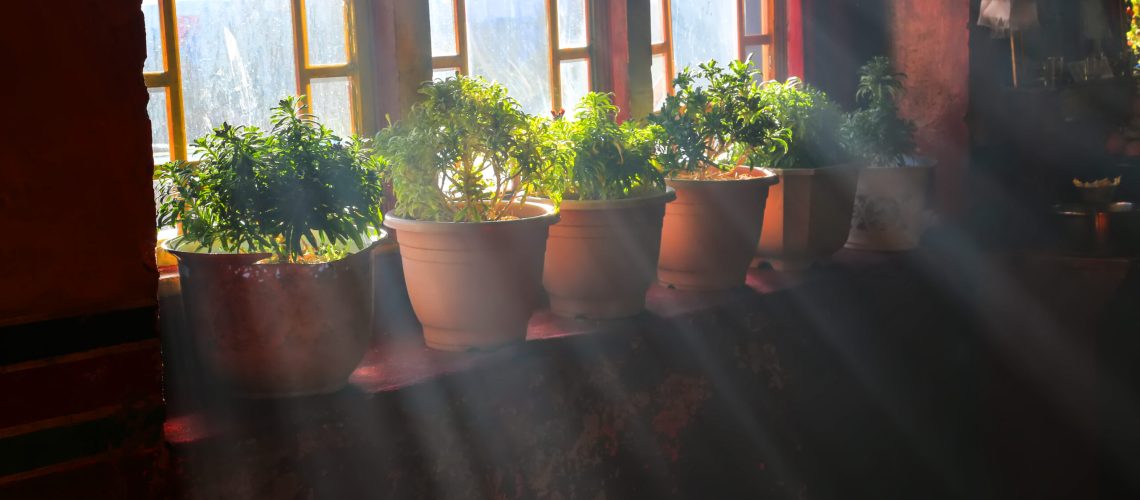 Vase with a flower on the windowsill country house.